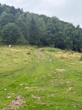 Montée au Locberg, ça grimpe