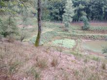 Petitmagny etang de la combe 