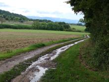 Banvillars: panorama sur les Vosges un peu voilé