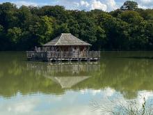 Les étangs Verchat: cabanne sur l'eau