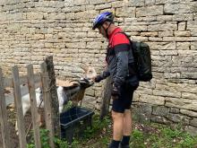 Chateau d'Oricourt et ses tondeuses