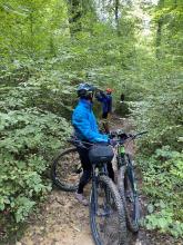 Quelques branches!!!