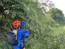 Travail à la scie et au sécateur