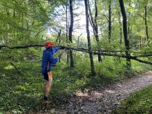 Et làc'est la scie...
