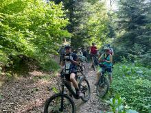 Dans les bois d'Auxelles